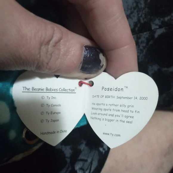 Poseidon the Whale Shark - Picture 6 of 9